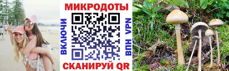 Галлюциногенные грибы GOLDEN TEACHER  Черноголовка 